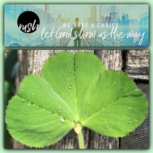 💛☝️💕SPRING IS HERE 💕👏💝